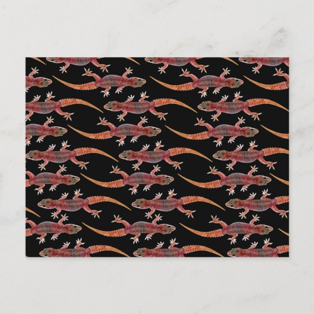 Carte Postale Geckos (Devant)