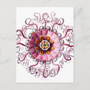 Carte Postale gelée rose avec points verts clair copie.png