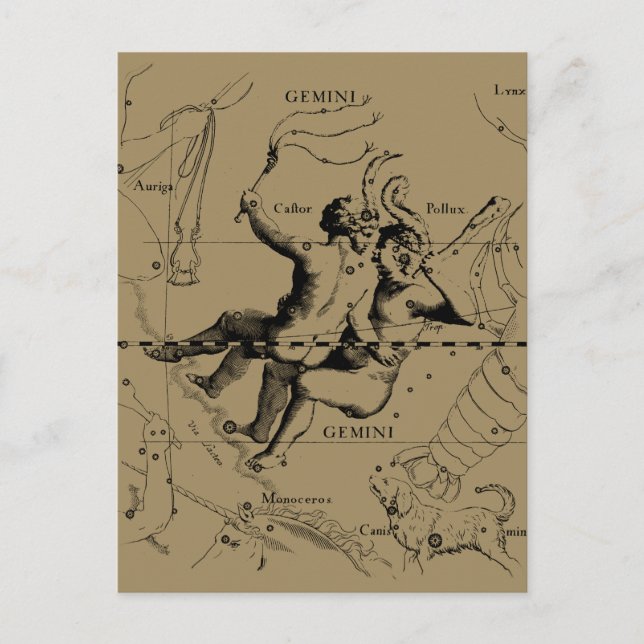 Carte Postale Gemini Constellation Zodiac Hevelius 1690 (Devant)