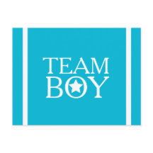 Gender Reveal Aqua Blue Team Boy A01A