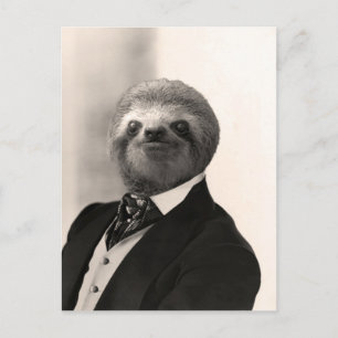 Carte Postale Gentil Sloth #4