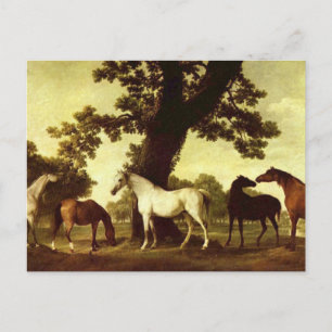 Carte Postale George Stubbs