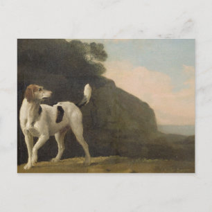 Carte Postale George Stubbs   A Foxhound, c.1760 (huile sur papi