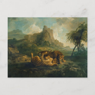 Carte Postale George Stubbs Leopards at Play, c.1763-8