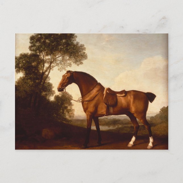 Carte Postale George Stubbs - Un chasseur de la baie selle (Devant)