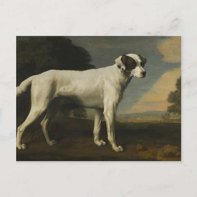 Carte Postale George Stubbs - Viscount Chien blanc de Gormanston (Devant)