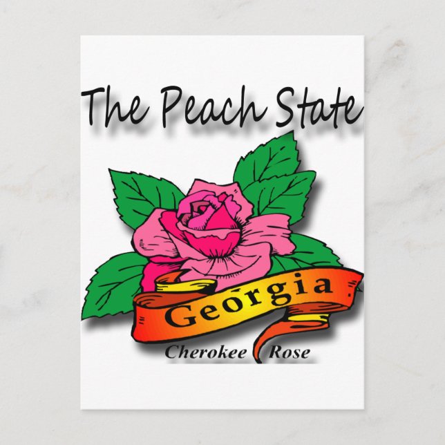 Carte Postale Georgia Peach State Cherokee Rose (Devant)