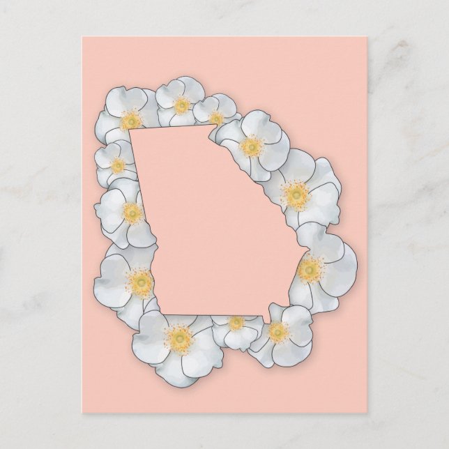 Carte Postale Georgia State Flower - Cherokee Rose (Devant)