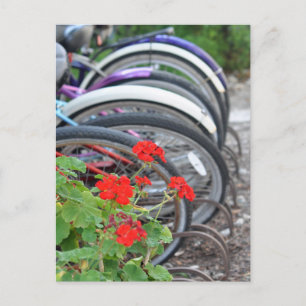 Carte Postale Géraniums et vélos