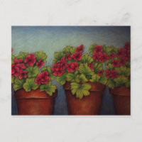 Geraniums rouges en pots d'argile