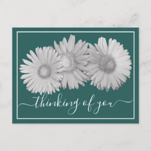 Carte Postale Gerbera Daisies Fond Cyan Pensant à Vous 