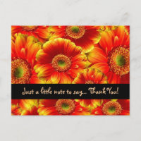 Gerbera Daisies Merci