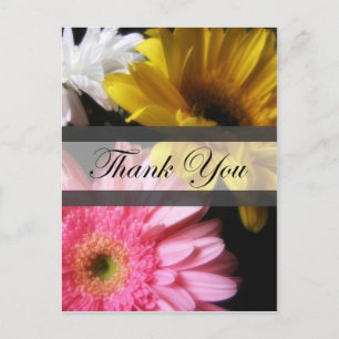 Carte Postale Gerbera Daisy 8 Merci