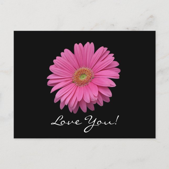 Carte Postale Gerbera Daisy Love You Postcard (Devant)