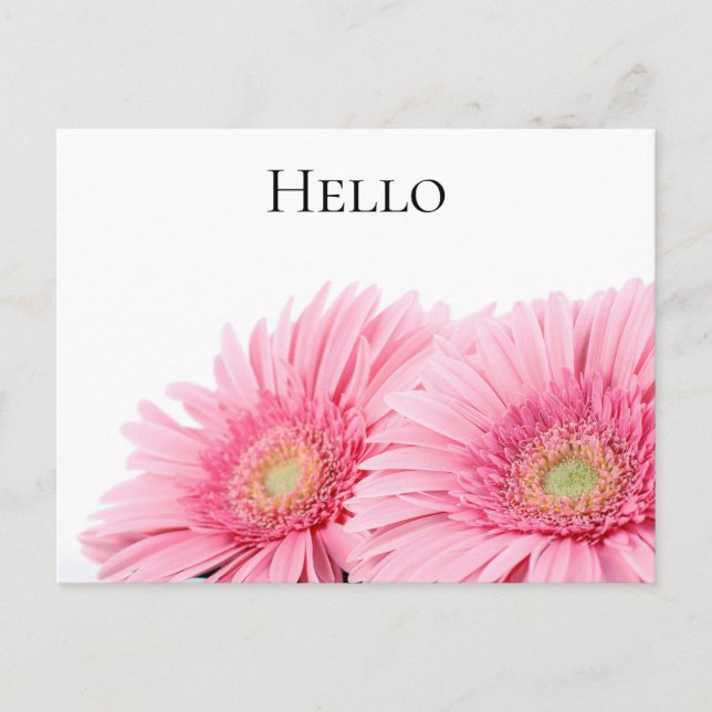 Carte Postale Gerbera Rose Daisies Élégante Photographie (Devant)