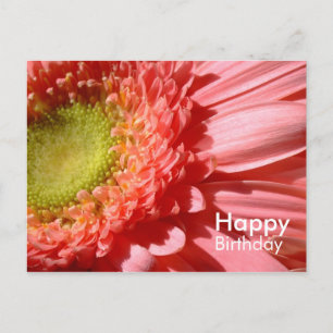 Carte Postale Gerbera rose - Joyeux anniversaire