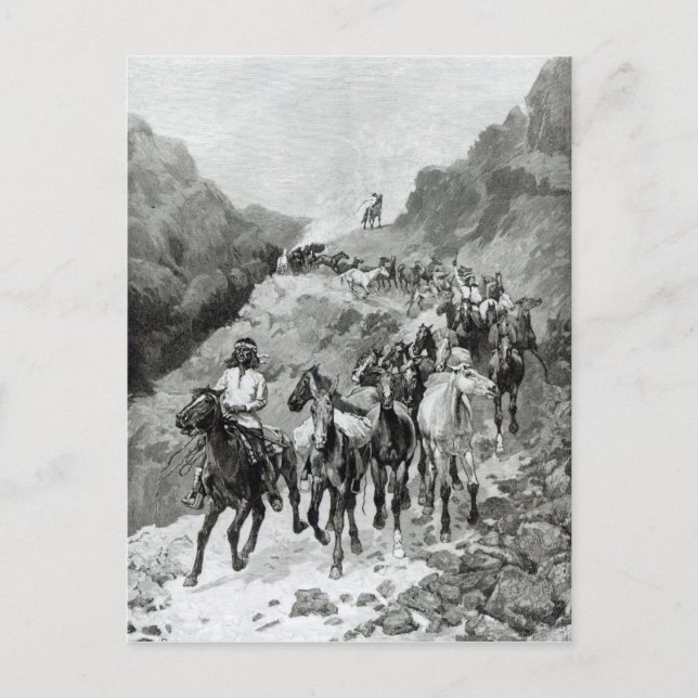 Carte Postale Geronimo et son groupe (Devant)