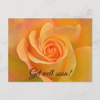 Carte Postale Get well rose