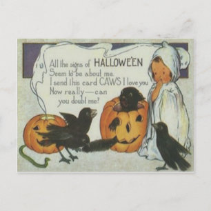 Carte Postale Ghost Crow Jack-o'-lantern Citrouille Chat noir