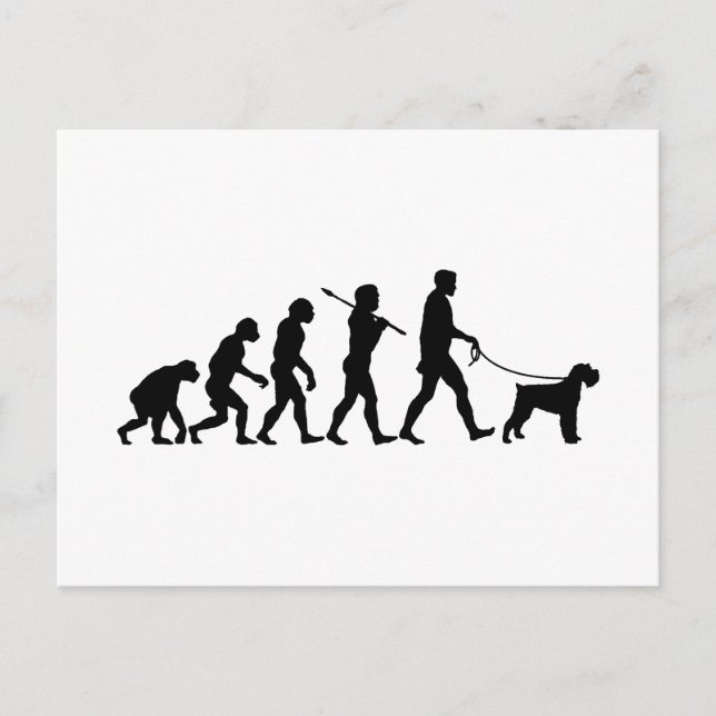 Carte Postale Giant Schnauzer (Devant)