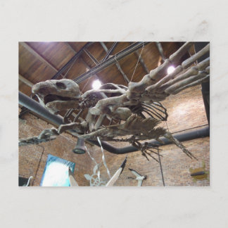 Carte postale Giant Sea Turtle Archelon