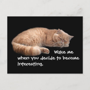 Carte Postale Gingembre Dormir Chat Funny Wake Me Citation