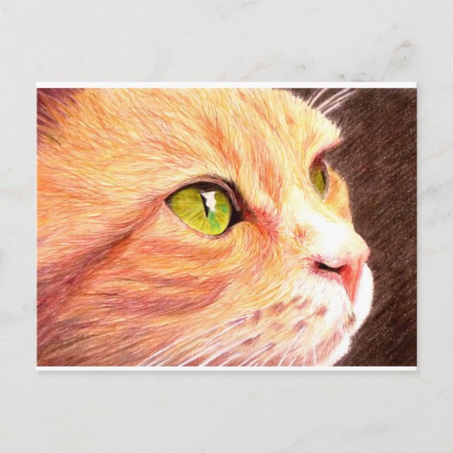 Carte postale Ginger Cat (Devant)