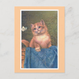 Carte Postale "Ginger Kitten et Butterfly" Vintage