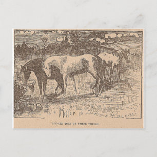 Carte Postale Ginger Nous A Dit Ces Choses