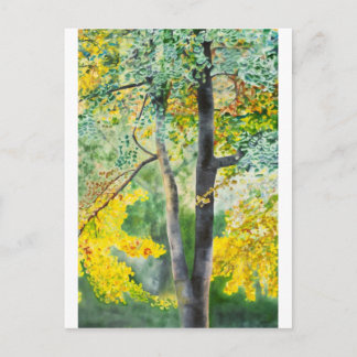 Carte Postale gingko
