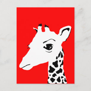 Carte Postale girafe