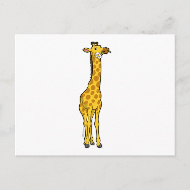 Carte Postale Girafe avec Marguerite (Devant)