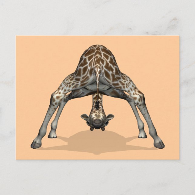 Carte Postale Girafe flexible (Devant)