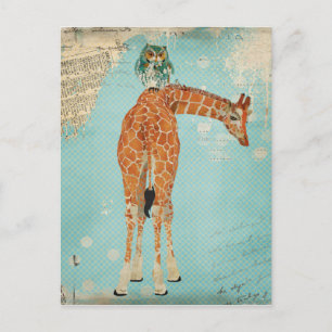 Carte Postale GIRAFE & OWL Postcard