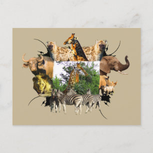 Carte Postale Giraffe Aloe, cadre faunique africain