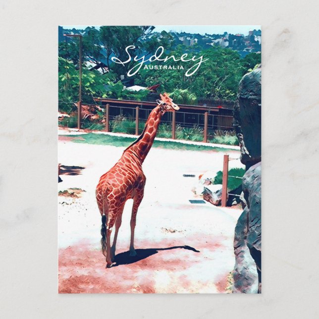 Carte Postale Giraffe animal Sydney Australie (Devant)