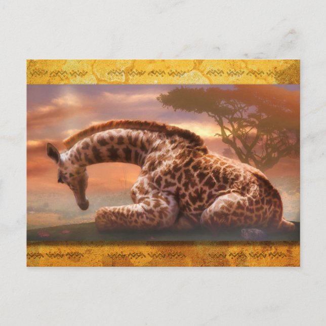 CARTE POSTALE GIRAFFE BÉBÉ D'AFRIQUE (Devant)