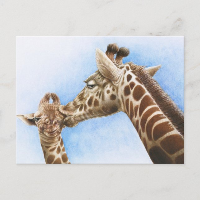Carte postale Giraffe & Calf (Devant)