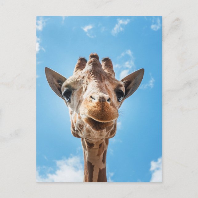 Carte postale Giraffe Face Gros plan (Devant)