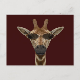 Carte Postale Giraffe Incognito