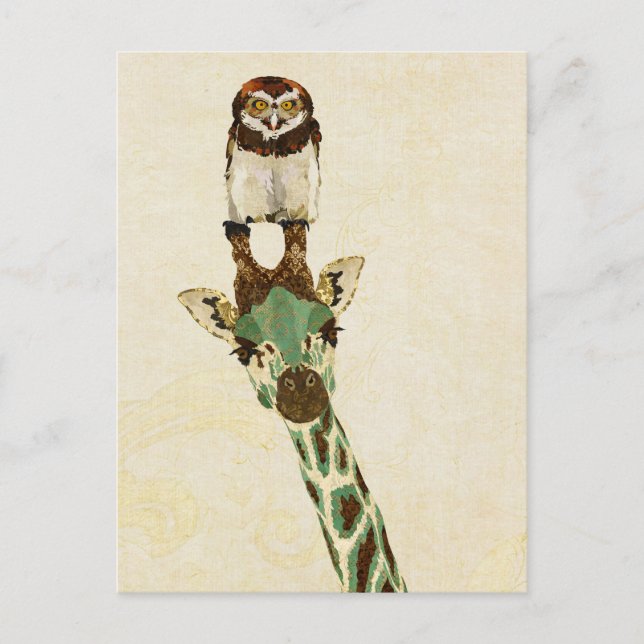 Carte postale GIRAFFE & PETITE OWL (Devant)