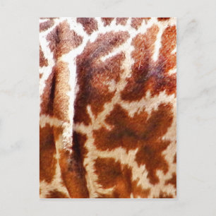 Carte Postale Giraffe Skin_