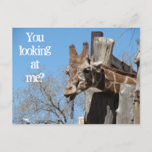 Carte Postale Giraffe Tongues