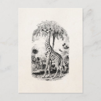Carte Postale Giraffe vintage Illustration d'animal personnalisé