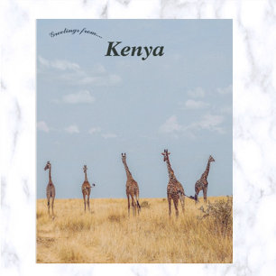 Carte Postale Giraffes dans la réserve nationale de Masai Mara K