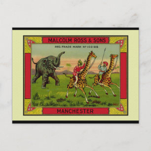 Carte Postale Giraffes et éléphants