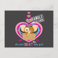 Gizmo | Ne pas attendre cet animal