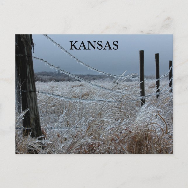 Carte Postale Glace du Kansas sur une clôture (Devant)