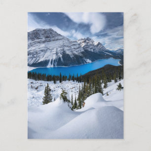 Carte Postale Glace et neige Lac Peyto, Rocheuses canadiennes