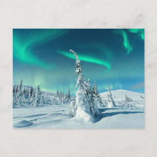 Carte Postale Glace et neige Northern Lights, Laponie, Finland